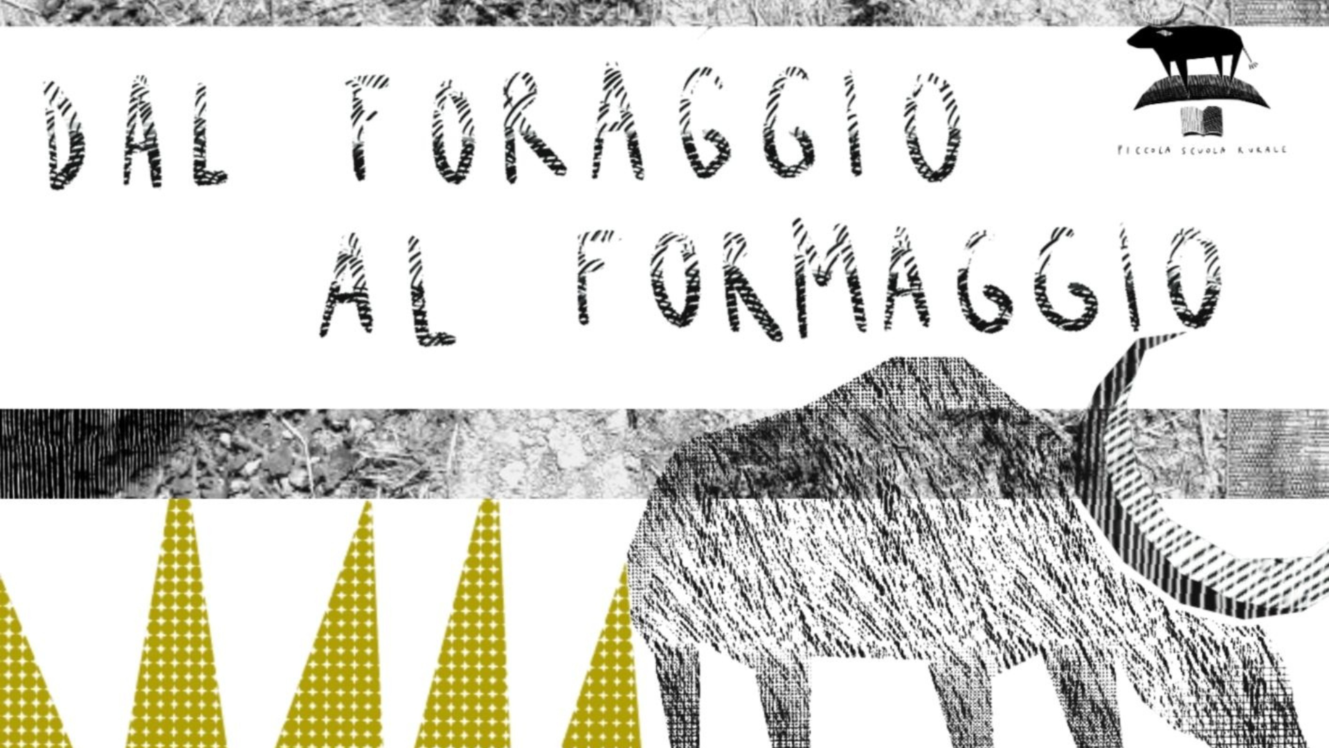 DAL FORAGGIO AL FORMAGGIO | SANTA VITTORIA IN MATENANO